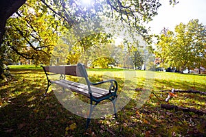 Cozy bench in the garden