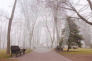 Cozy benches in a city foggy park in the fall. Gomel, Belarus