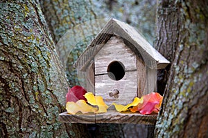 Cozy Birdhouse