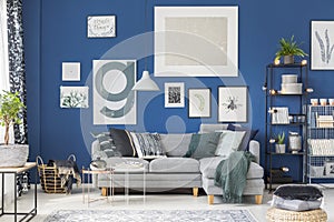 Cozy blue living room