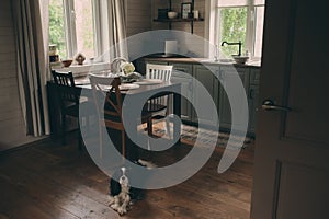 Cozy cabin interior. Country grey kitchen with open shelving in rustic style