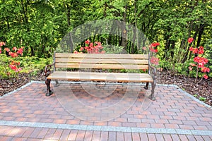 A cozy corner in the park - a comfortable bench, deciduous forest and flowering azalea bushes.