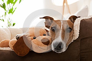 Cozy couple on sofa