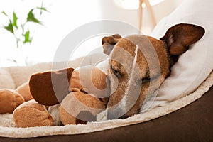 Cozy couple on sofa