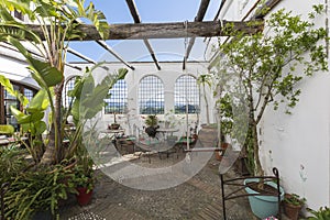 Cozy courtyard with plants