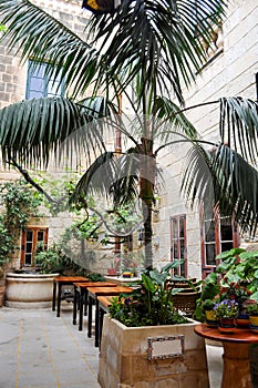 Cozy estaurant with palm trees among the beautiful,old, stone houses in Mdina