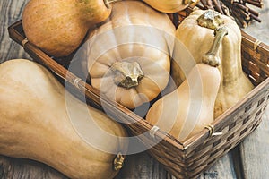 Cozy fall with pumpkins, leaves. Top down view over a rustic wood background. Pumpkins. Autumn. Thanksgiving. Halloween