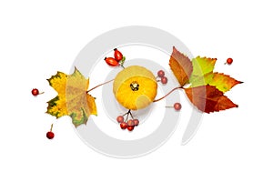 Cozy fall season. Autumn Natural food, harvest with orange pumpkin, fall dried leaves, rowan berries isolated on white background