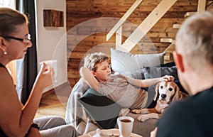 Cozy family tea time. Father, mother and son  at the home living room. Boy lying in comfortable sofa and  stroking their beagle