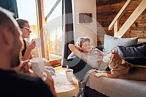 Cozy family tea time. Father, mother and son  at the home living room. Boy lying in comfortable sofa and  stroking their beagle