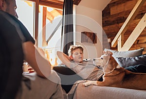 Cozy family tea time. Father and son at the home living room. Boy lying on comfortable sofa and  stroking their beagle dog and