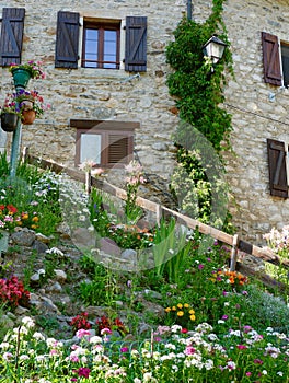 Cozy garden with different flowers in mountain village Salent de Gallego, Huesca, Spain. Vertical photo