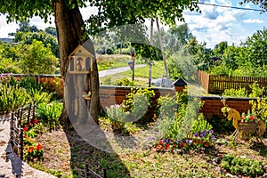 Cozy garden with flowers