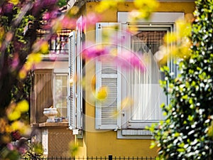 Cozy garden near the house with beautiful windows and shutters. Calmness and comfort