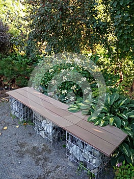 Cozy green corner, landscaping garden with a bench and plants on a nice summer