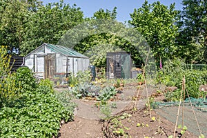 Cozy greenhouse