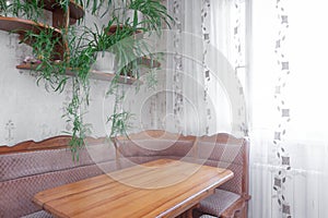 Cozy home botanical interior dining room with wood table and white window curtains copy space