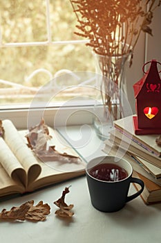 Cozy home still life: candlestick and books on windowsill against landscape outside. Autumn holidays, reading time concept