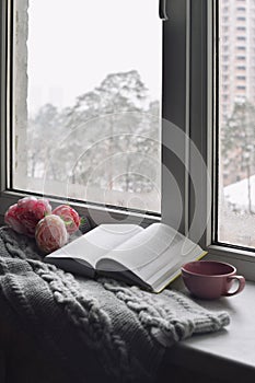 Cozy home still life: cup of hot coffee, spring flowers and opened book with warm plaid on windowsill against snow