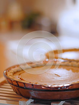 Cozy, homey image of two pumpkin pies cooling in a kitchen. Backlighting and shallow depth of field used. Image is in warm tones t