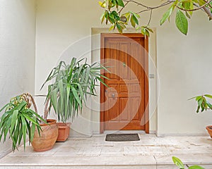 Cozy house entrance, solid wooden door and flower pots