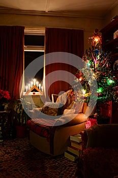 Cozy Indoor Christmas Tree Scene