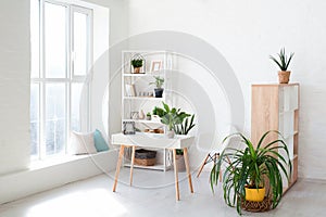 Cozy interior design of modern studio apartment in Scandinavian style. A spacious huge room in light colors with green