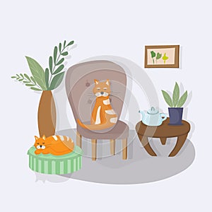 Cozy interior of the living room in the house. Cat sitting on an armchair, another sleeping on a soft pouffe. Apartment decorated