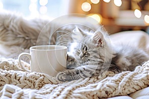 Cozy Kitten Slumbering Peacefully Beside Warm Coffee Mug