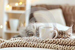 Cozy Kitten Slumbering Peacefully Beside Warm Coffee Mug