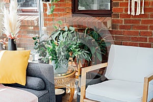 Cozy, light conservatory interior design with gray sofa decorated with bright textile cover and cushions and many green