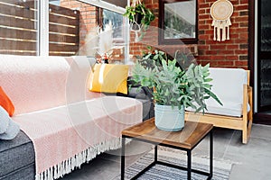 Cozy, light conservatory interior design with gray sofa decorated with bright textile cover and cushions and many green