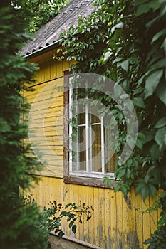 Cozy little country house painted yellow among lush green trees and bushes