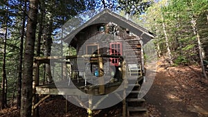 Cozy little forest house in the woods