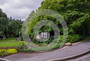 A cozy little wooden house with a beautiful garden around. Summer, blooming flowers, natural background