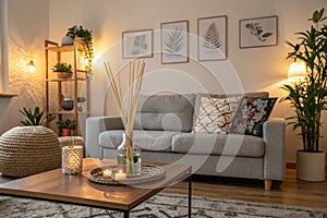 Cozy living room with grey sofa and reed diffuser