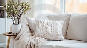 Cozy living room interior with white sofa, pillows and plant. Light neutral colors