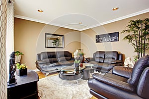 Cozy and luxury living room with black leather sofa set and modern coffee table