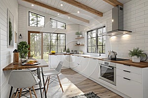 Cozy modern kitchen with white walls