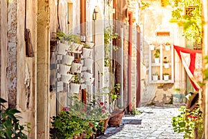 Cozy narrow street in the village of Pano Lefkara. Larnaca District, Cyprus photo