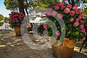 Cozy outdoor beach bar and restaurant, Brela, Dalmatia, Croatia, Europe