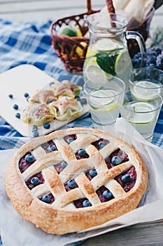 Cozy picnic near lake