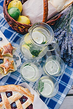 Cozy picnic near lake