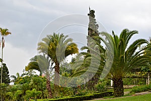 Beautiful picturesque wellgroomed park in the tropics with green trees. walk outdoors photo