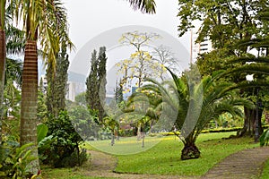 Beautiful picturesque wellgroomed park in the tropics with green trees. walk outdoors photo