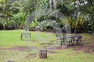 Beautiful picturesque wellgroomed park in the tropics with green trees. walk outdoors photo