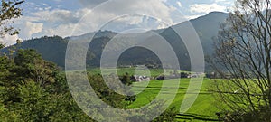 Cozy Ricefield in Toba, Sumatra Utara