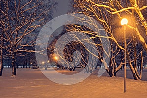 A cozy romantic view of the evening winter city park, the paths are cleared, the trees are covered with snow.