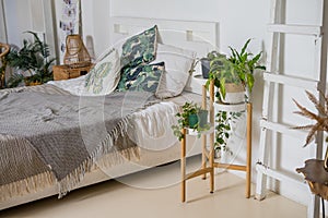 Cozy rustic bedroom with boho ethnic decor.Plants in the interior.