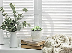 Cozy rustic home still life. On the bright window jug of dry branches,  knitted blanket, books and succulent flower. Concept of a